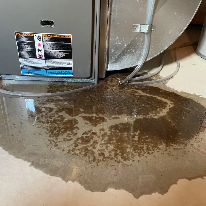 Appliance Leak Cleanup in Waimanalo, HI