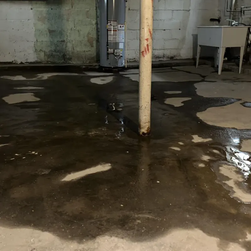 Emergency Water Extraction And Removal in Waimanalo, HI